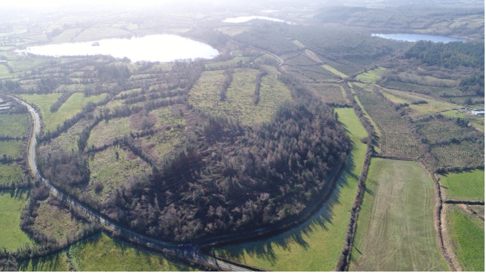 wald-irland-kaufen-407-jb-fy-1