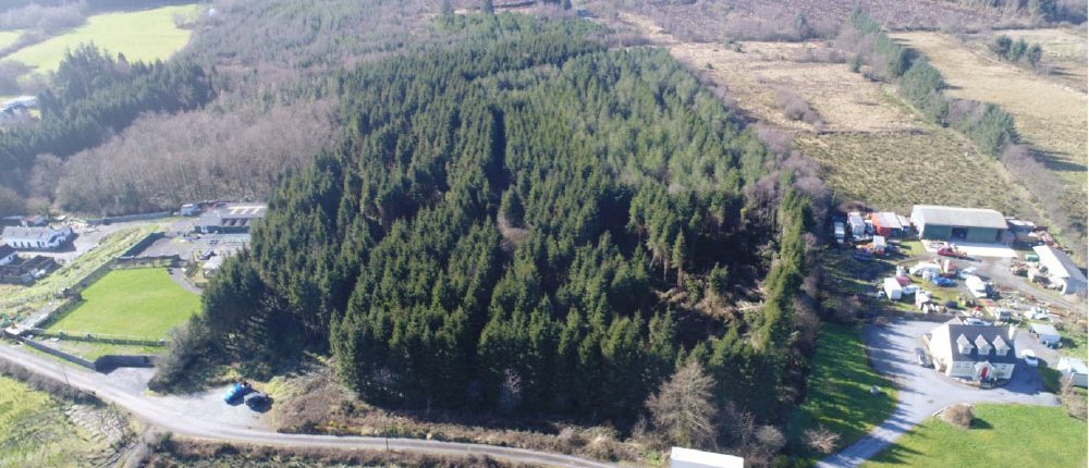 wald-kaufen-irland-404JB-FY-2