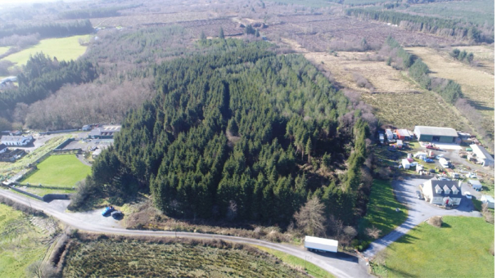 wald-kaufen-irland-404JB-FY-2